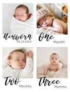 First Year Milestone